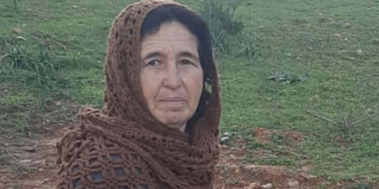 Bodrum'da kayıp olarak aranan kadın ölü bulundu