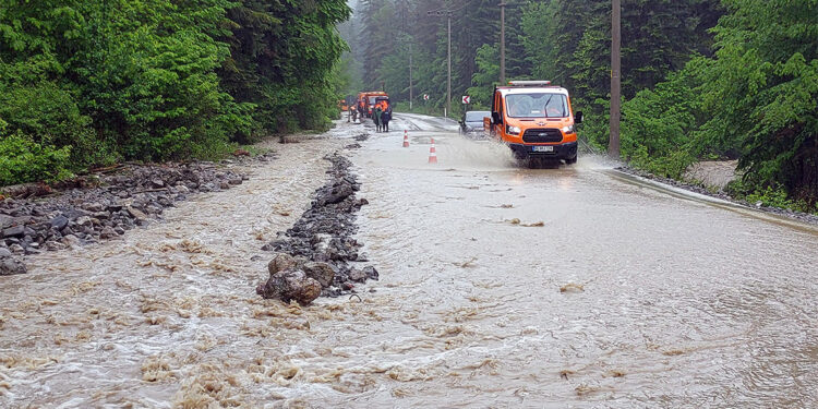 Bolu'da sağanak; Abant yolunda göçükler oluştu