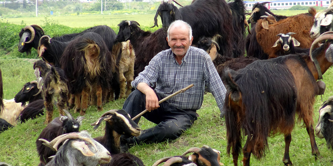 İstanbul'un ortasında bir yayla