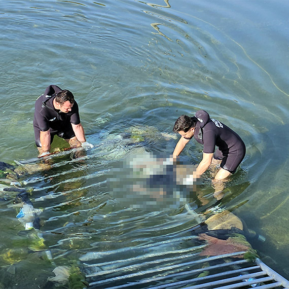 Adana'da sulama kanalında cesedi bulunan çocuğu suya ittiği iddia edilen Ömer Yalçın (18), yakalanıp, tutuklandı. Yalçın ifadesinde, “Çocuk, kendisi suya atladı. Çırpınmaya başlayınca suya girip, kurtarmaya çalıştım. Başarılı olamayınca korkup, kaçtım" dedi.