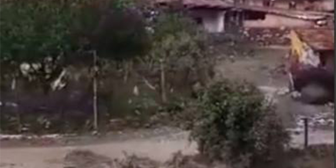 Çorum'u sel vurdu; 6 ahırı su bastı