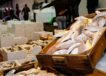 Denizlerinde avlanan balık miktarı yüzde 32 azaldı