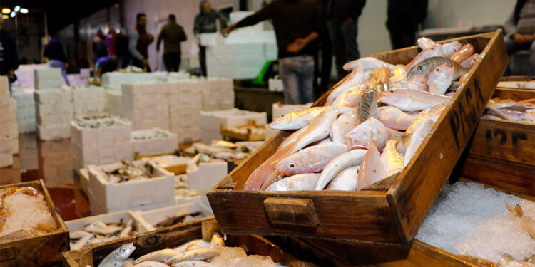 Denizlerinde avlanan balık miktarı yüzde 32 azaldı