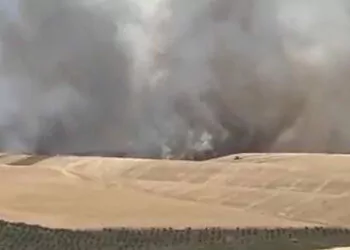 Diyarbakır'da buğday ekili arazide yangın