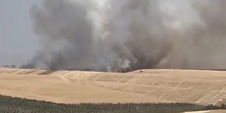 Diyarbakır'da buğday ekili arazide yangın
