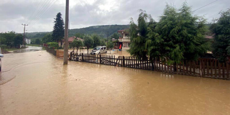 Düzce'de sağanakta 8 köyü su bastı