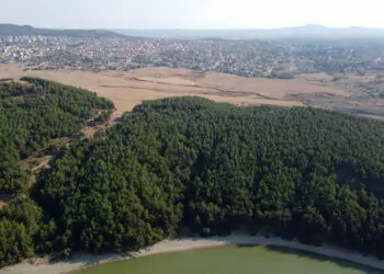 Edirne'de ormanlara girişler yasaklandı