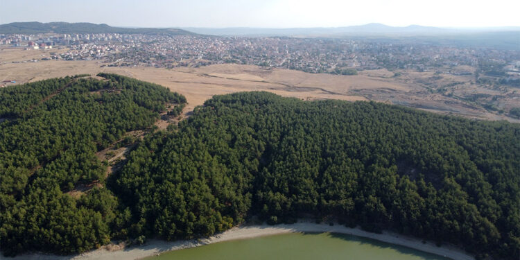 Edirne'de ormanlara girişler yasaklandı
