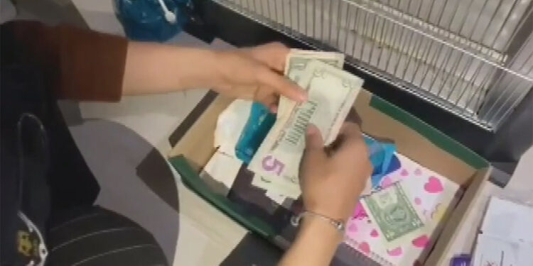 Fethullah Gülen'in yeğeni tutuklandı