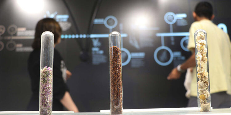 Rayiha Baharat Müzesi'nde 150 çeşit baharat sergileniyor