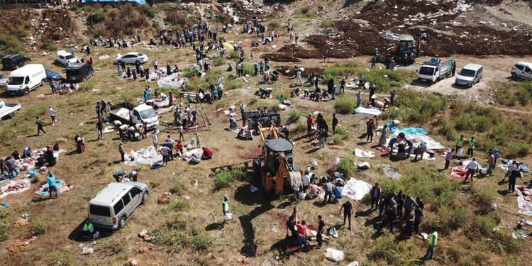 Esenyurt'ta boş arsalar kesimhaneye döndü