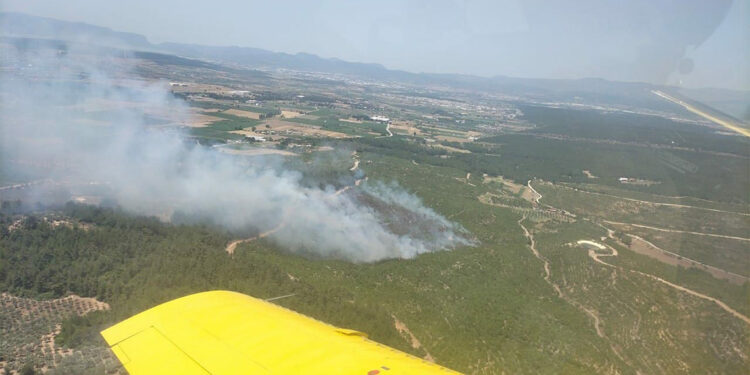 Buca'da orman yangını