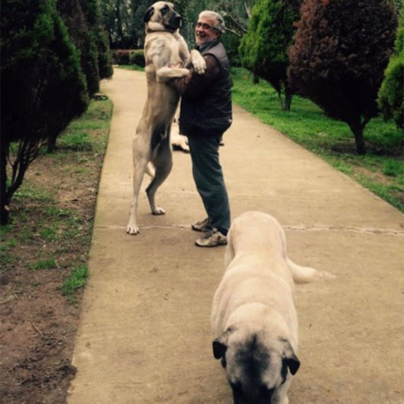 İznik’te geçimini çiftçilikle sağlayan 2 çocuk babası kanser hastası SGK'ya açtığı davayı kazandığını göremeden, 2021 yılı Nisan ayında hayatını kaybetti.