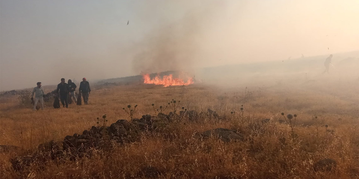 Kilis'te mera yangını