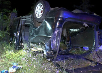 Kamyonet takla atarak ağaçlık alana devrildi; 14 yaralı