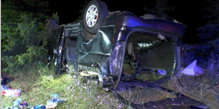 Kamyonet takla atarak ağaçlık alana devrildi; 14 yaralı