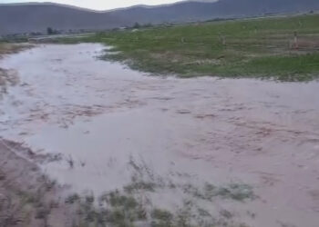 Konya'da ekili araziler sular altında kaldı
