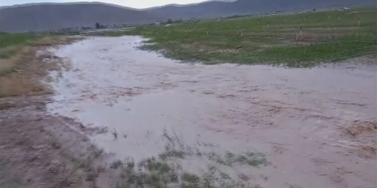 Konya'da ekili araziler sular altında kaldı