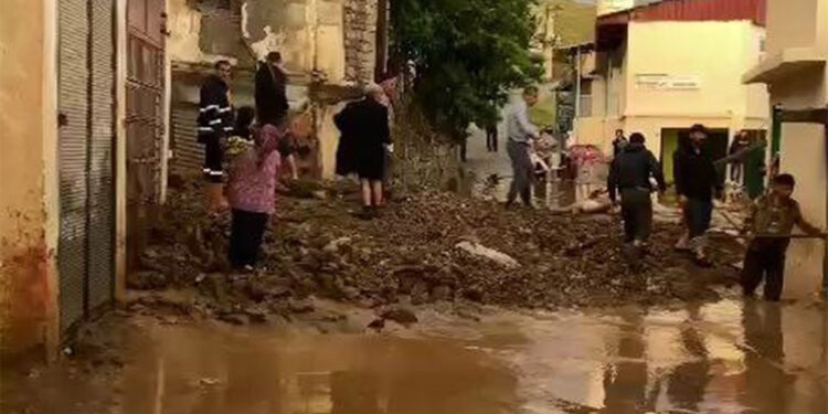 Kulp'ta sağanak; 2 evi de çamurlu su bastı
