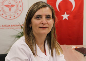 Etleri kendi yağında pişirin