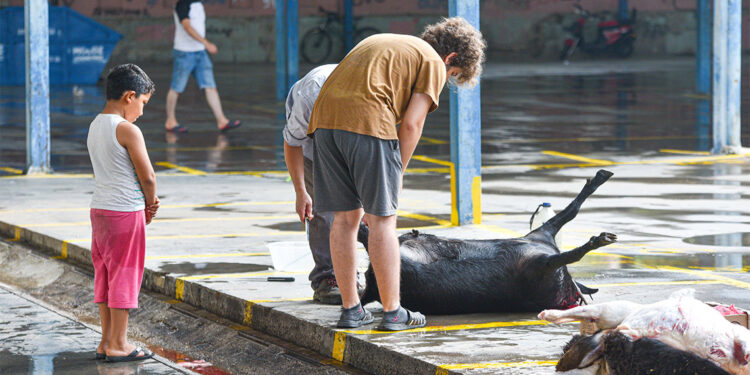 Kurban kesim yerlerinde manzara bu yıl da değişmedi