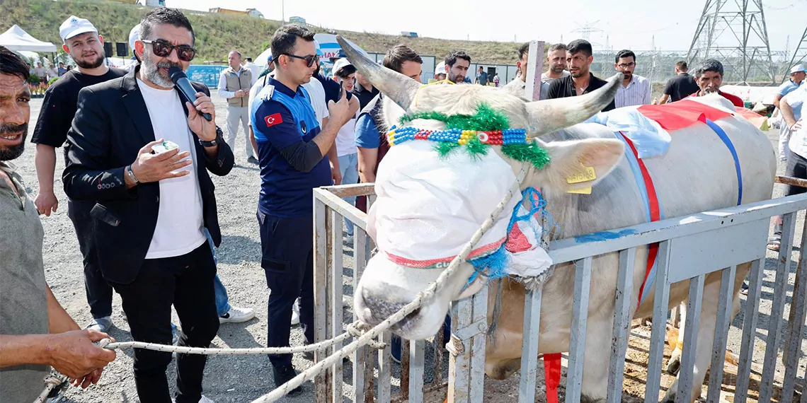 Sultangazi’de ‘en güzel kurban yarışması’ düzenlendi