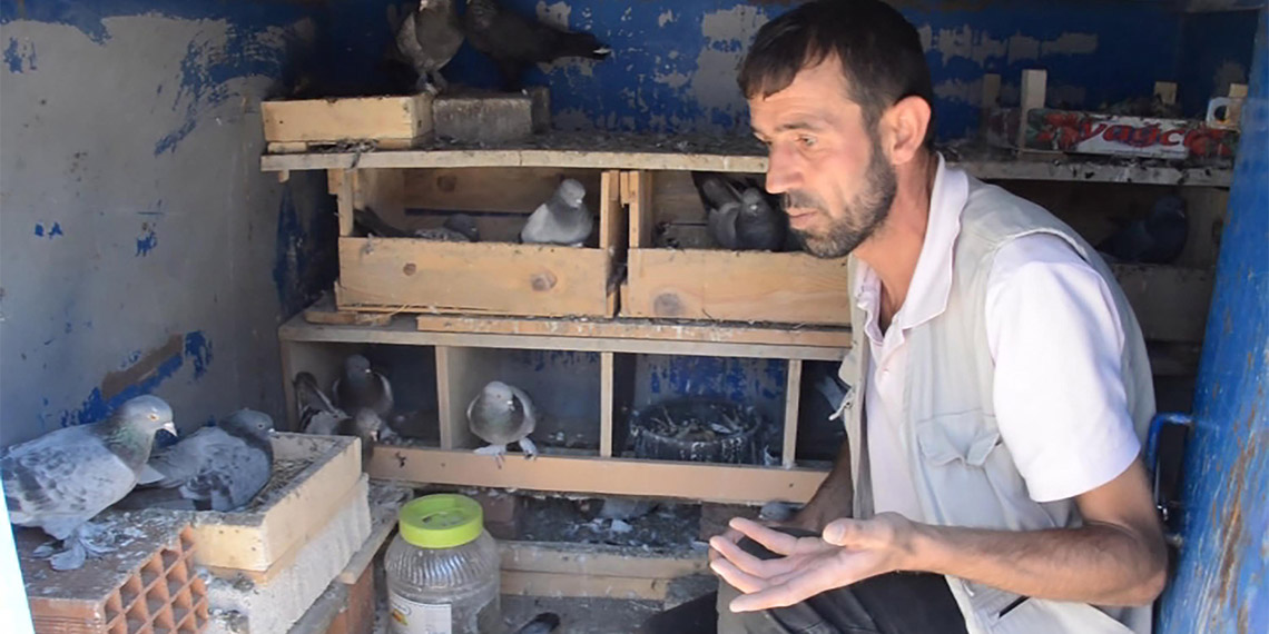 Erzurum'da güvercin meraklısı Ayhan Avcı (47), tarlasına yaptırdığı barakada ölü bulundu. Ayhan Avcı'yı, Gürcistan asıllı eşi Padine Avcı (35) ile arkadaşı Fahrullah Özdemir’in (47) kürekle bayıltıp balta ve tırpanla öldürdükleri, ardından da jandarmaya ihbarda bulundukları ortaya çıktı.