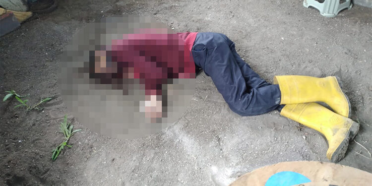 Kürekle bayıltıp balta ve tırpanla öldürmüşler