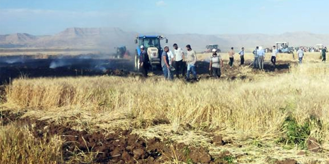 Mardin'de 200 dönüm ekili buğday yandı