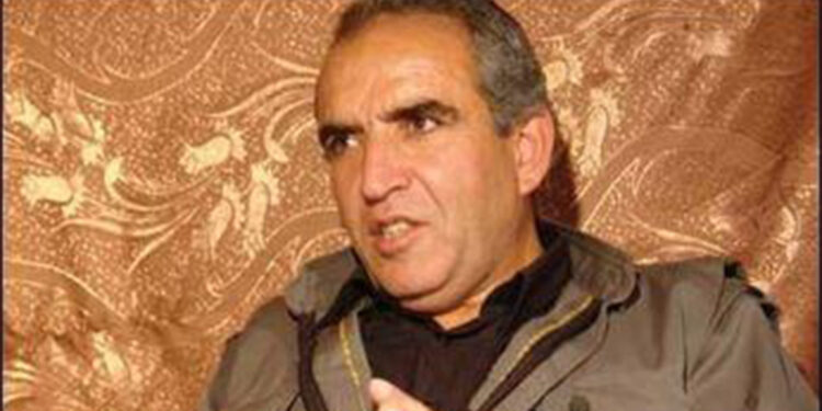 PKK/KCK'nın sözde yürütme konseyi üyesi etkisiz hale getirildi