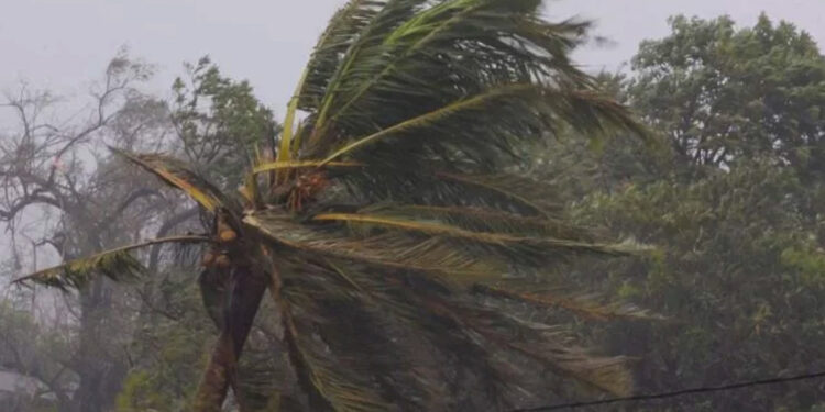 Myanmar'da yönetim insani yardımların girişini durdurdu