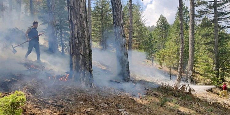 Yıldırımlar nedeniyle 28 orman yangını çıktı