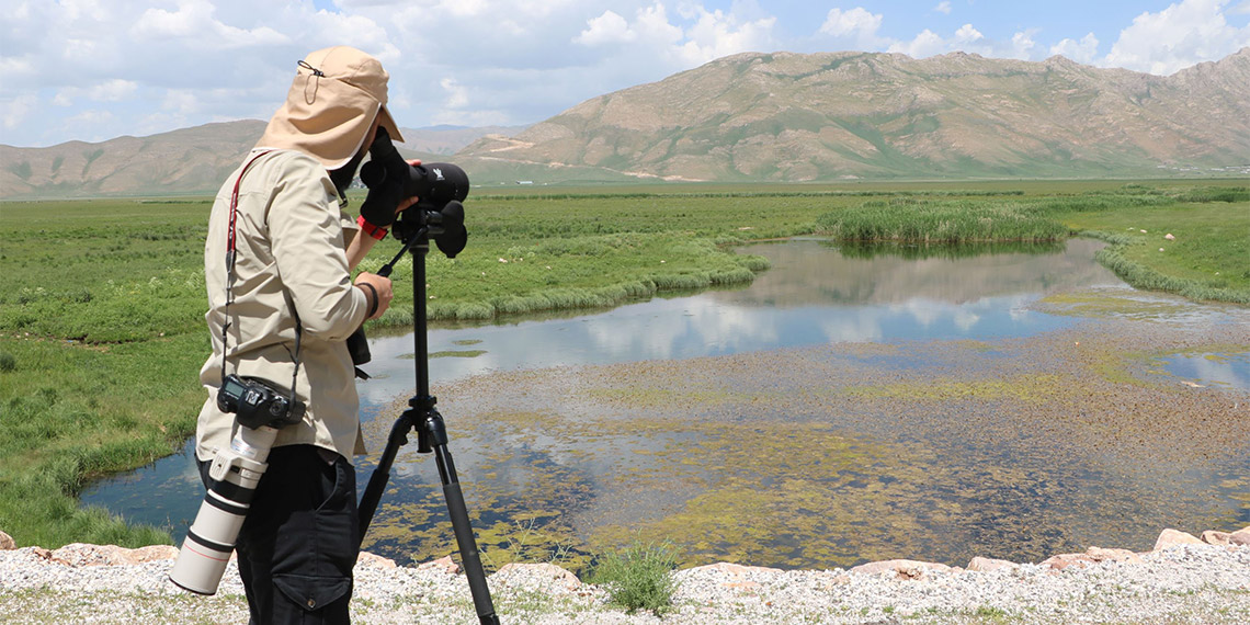 28 bin hektarlık Nehil Sazlığı'nda, tarım alanlarına yakın bölgelerdeki su seviyesinin düşürülmesi amacıyla yapılan drenajlar ve bölgede sık sık çıkan yangınlarla, küçülme ve son yıllarda kuş sayısında da azalma görülüyor.