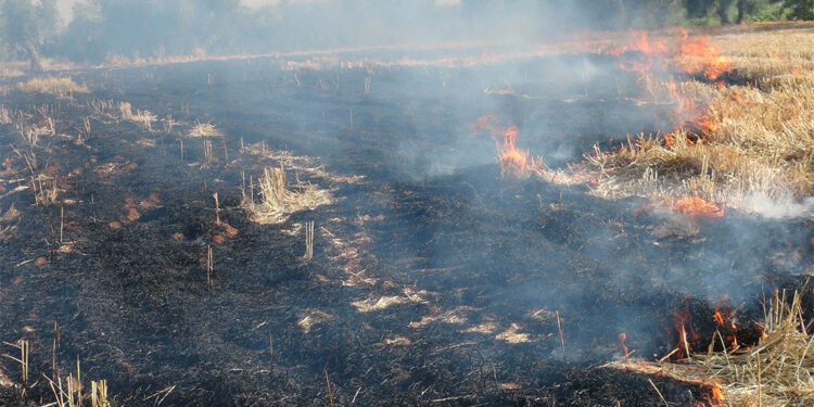 Öncüpınar Sınır Kapısı'na roketli saldırı