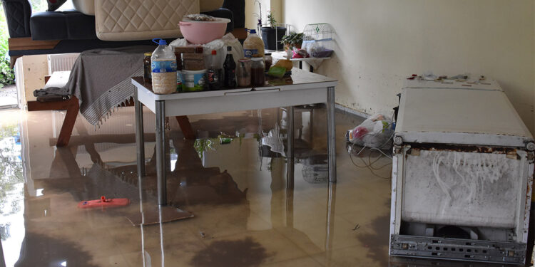 Fatsa'da sağanak nedeniyle dereler taştı