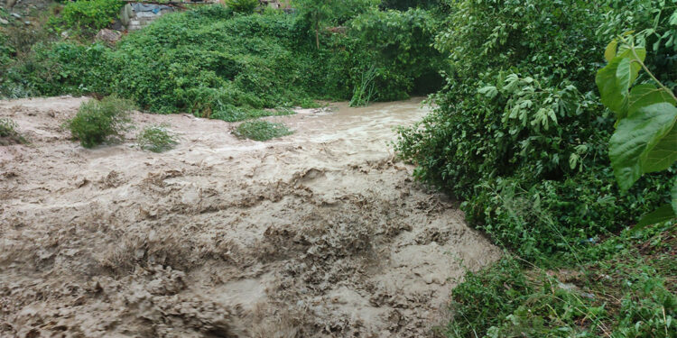 Selöz Deresi taştı, evleri su bastı