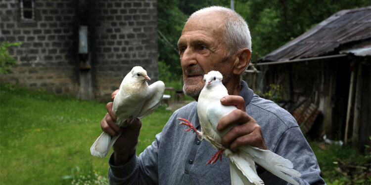 Pandemi bitti gönüllü karantina bitmedi