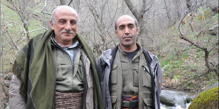 Gri listede aranan Sinan Dijvar kod adlı terörist etkisiz hale getirdi