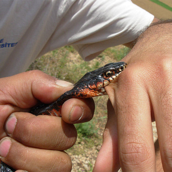 Karayılan hiçbir zaman durduk yere size saldırmaz