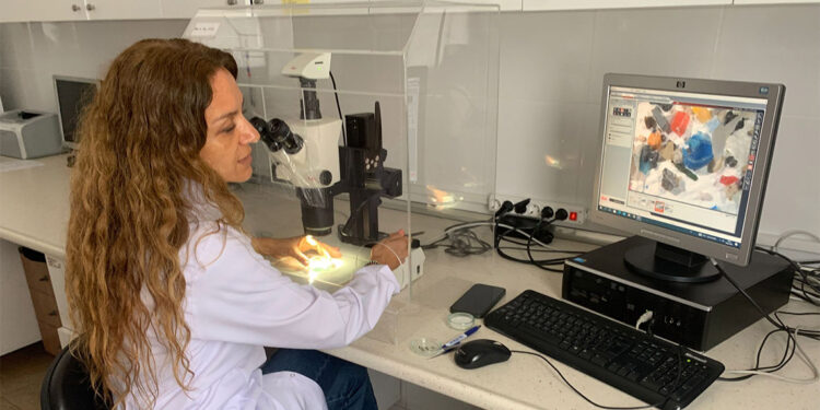 Mikro plastik kirliliği ve ekosistem riskleri araştırılacak