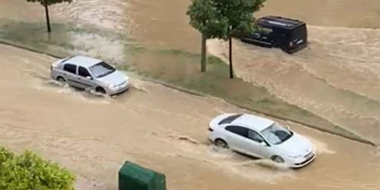 Samsun'da etkili olan sağanakta evleri su bastı