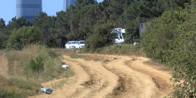 Sarıyer'de ormanda kaçak kesim yaptılar