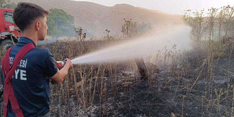 Siirt'te 65 dönüm ekin yandı