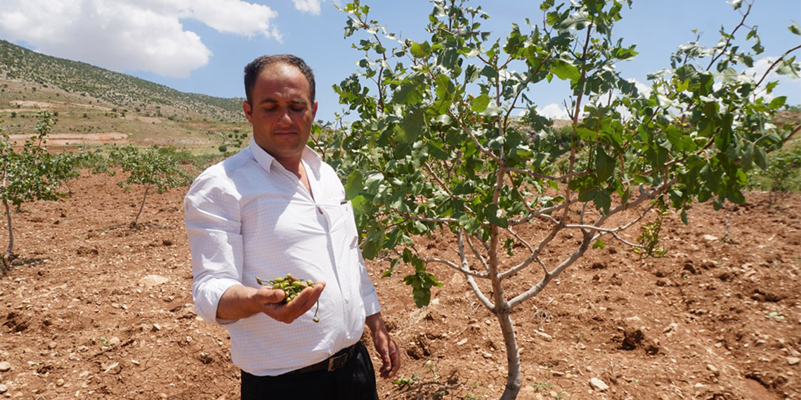 Siirt'te dolu yağışı yeşil altını vurdu