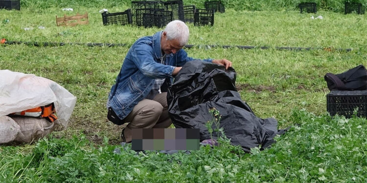 Maydanoz tarlasında yıldırım isabet eden işçi öldü