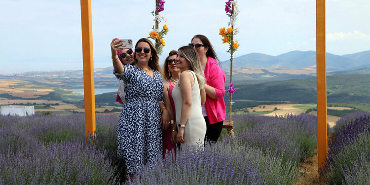 Tekirdağ'da lavanta tarlalarına ziyaretçi akını