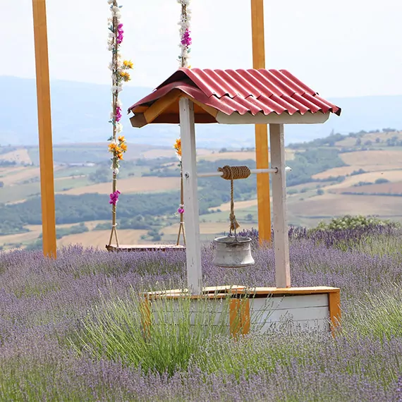 Tekirdağ'da lavanta tarlalarına ziyaretçi akını