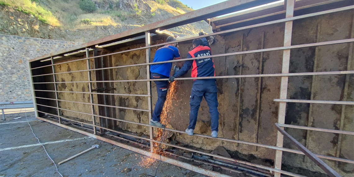 TIR devrildi sürücü ve 150 kurbanlık koyun öldü