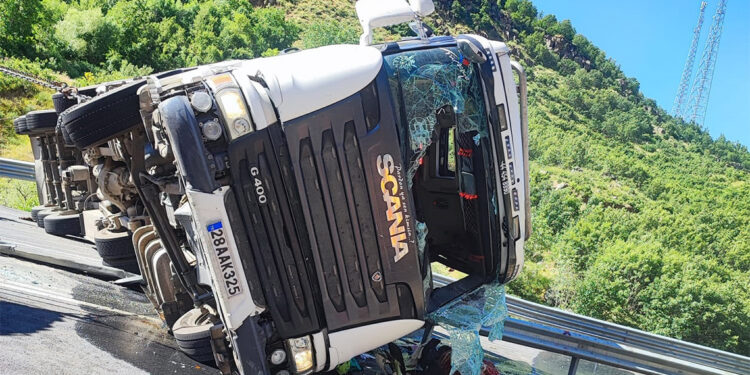 TIR devrildi sürücü ve 150 kurbanlık koyun öldü