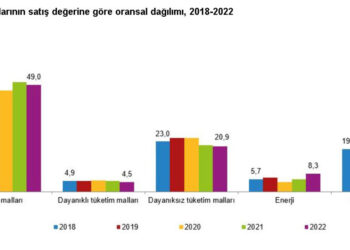 Girişimlerin ürettikleri ürünlerin satış değeri arttı